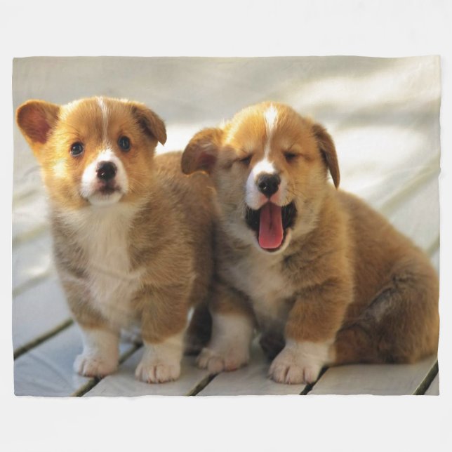 COBERTOR DE VELO COPIAR PASTA (Frente (Horizontal))