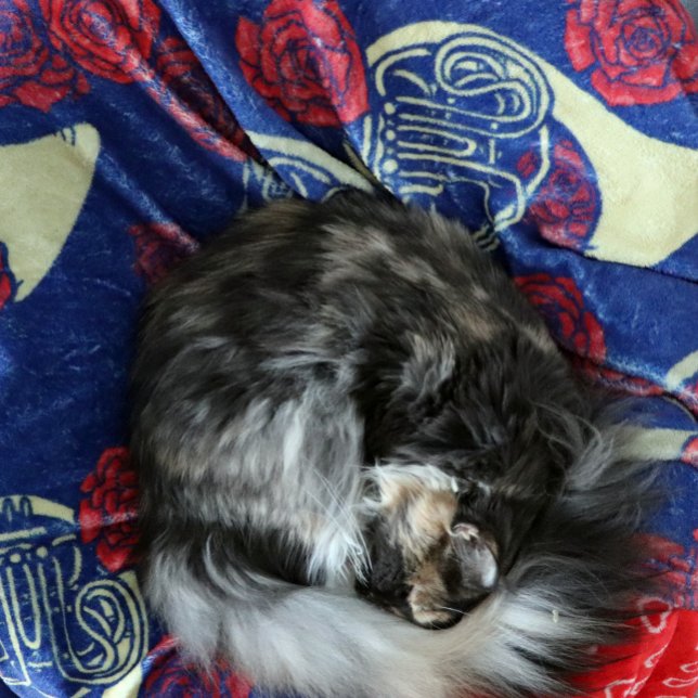 Cobertor De Velo Corno francês (Criador carregado)