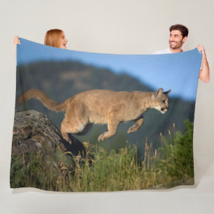 COBERTOR DE VELO COUGAR