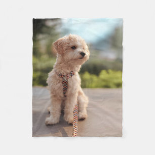 Cobertor De Velo Crie Sua Própria Foto Personalizada de Animal de E
