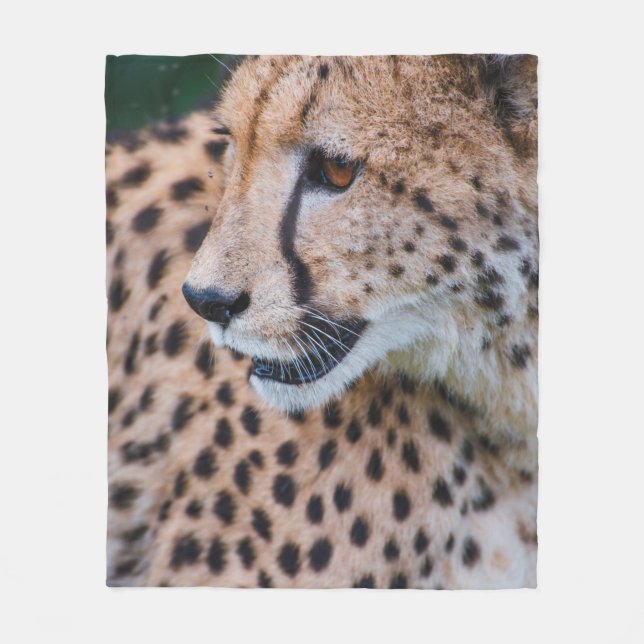 COBERTOR DE VELO CURIOUS CHEETAH (Frente)