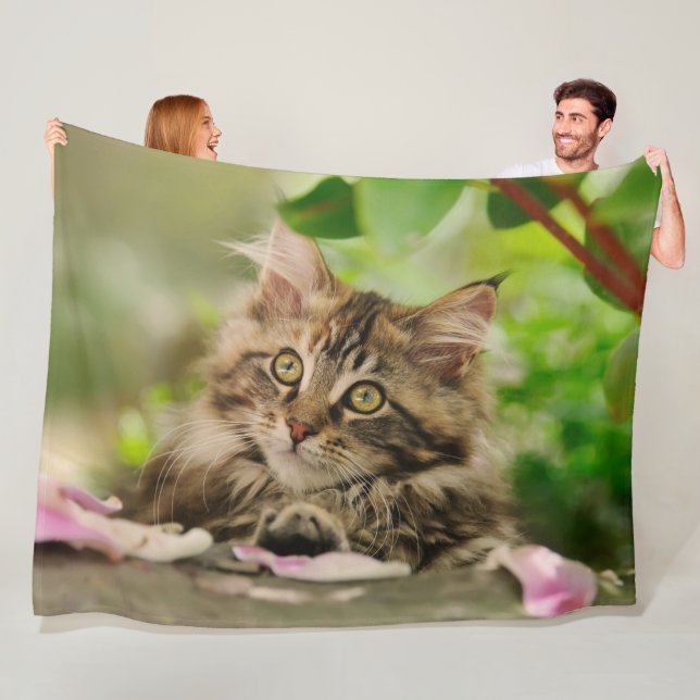 Cobertor De Velo Cute Maine Coon Kitten em um Jardim (In Situ)