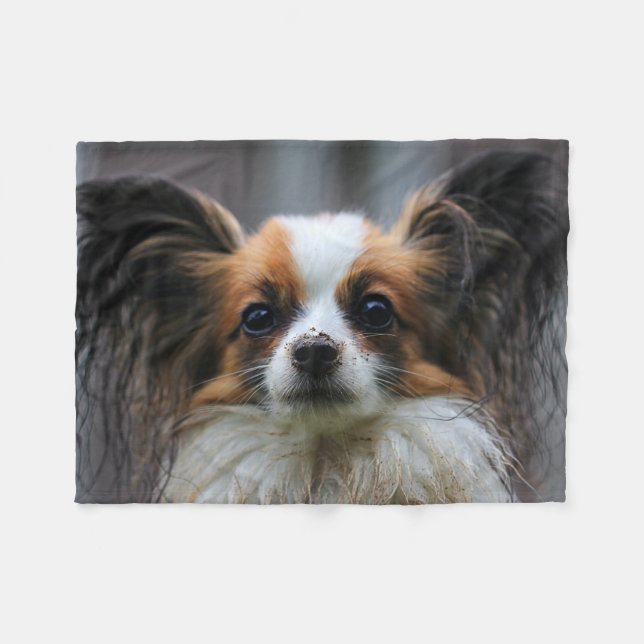 Cobertor De Velo Cute Papillon Toy Spaniel Dog Impressão (Frente (Horizontal))