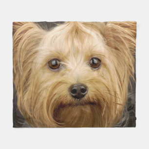 Cobertor De Velo Cute Yorkshire Terrier