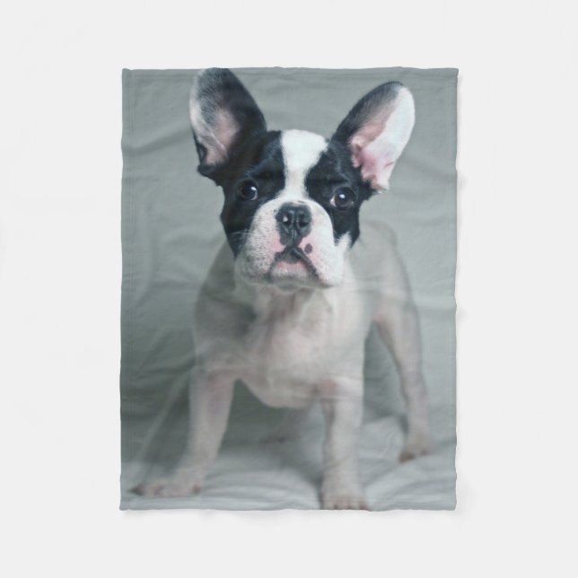 Cobertor De Velo Cutest Baby Animals | French Bulldog Puppy (Frente)