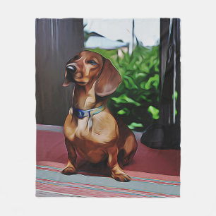 Cobertor De Velo Dachshund Senta-Se Em Portão Da Casa Do País Anive