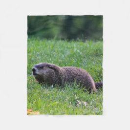 Cobertor De Velo Devil's Hole Digger