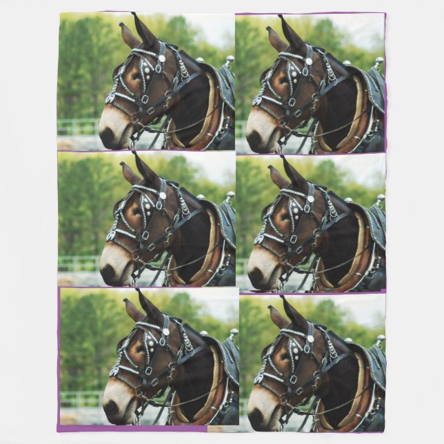 Cobertor De Velo dias da mula (Frente)