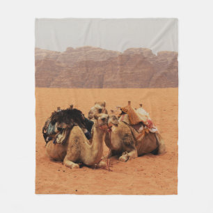 COBERTOR DE VELO DOIS CAMELOS SENTADOS NA AREIA MARROM PERTO DAS MO