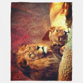 Cobertor De Velo Dois Leões