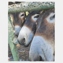 Donkey Love Fleece Blanket, Grande 60" x 80"