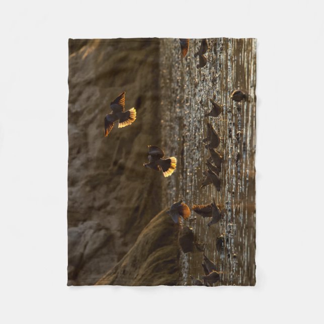 Cobertor De Velo Doves na Luz da Manhã (Frente)