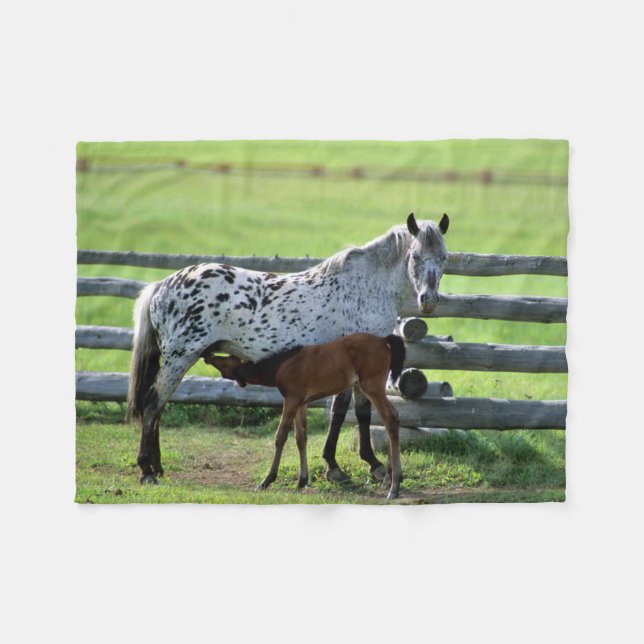 Cobertor De Velo Égua Appaloosa e potro (Frente (Horizontal))
