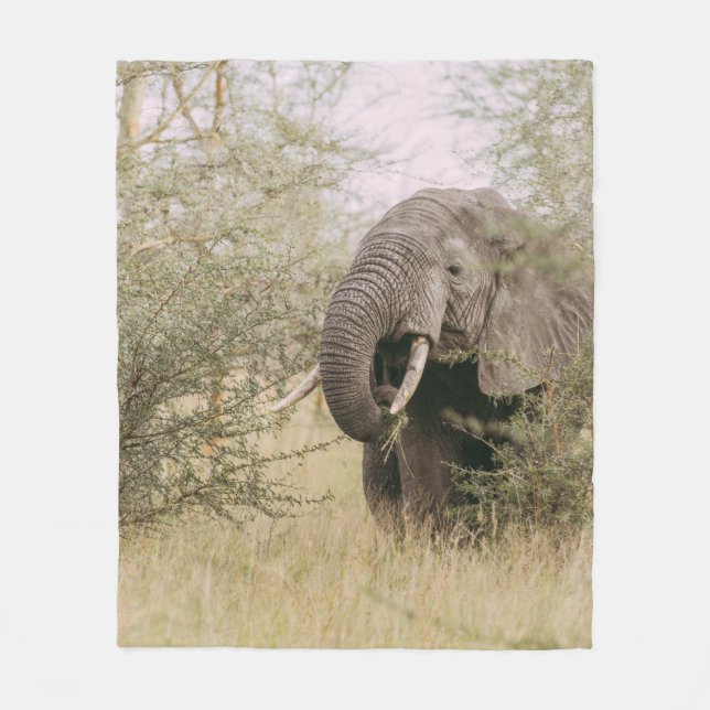 COBERTOR DE VELO ELEFANTE COMENDO DE UMA ÁRVORE (Frente)