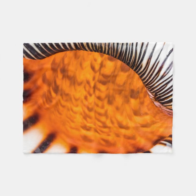 Cobertor De Velo Enxertia em rede (Frente (Horizontal))