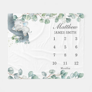 Cobertor De Velo Escala Mensal do Elefante Sleeping Ephant 