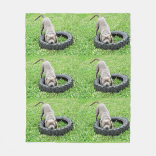Cobertor De Velo Esffy Playtime Medium Fleece Blanket.