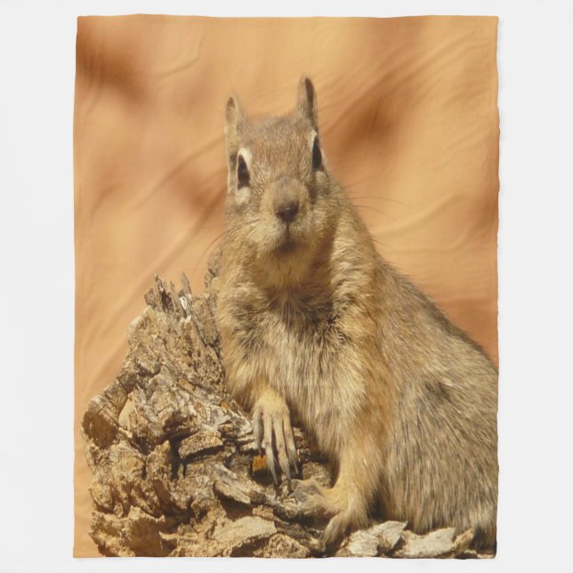 Cobertor De Velo Esquilo do ouro (Frente)