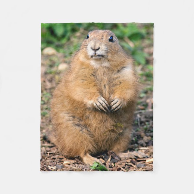 Cobertor De Velo Eu não sou gordo, mim sou cobertura peluches do (Frente)