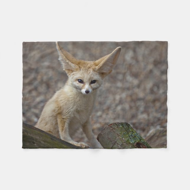 Cobertor De Velo Eu sou toda a cobertura do velo das orelhas (Frente (Horizontal))