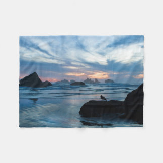 Cobertor De Velo EUA, Oregon, Praia de Bandon. Gaivota sobre rocha