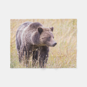 Cobertor De Velo EUA, Wyoming, Parque Nacional de Yellowstone, Urso