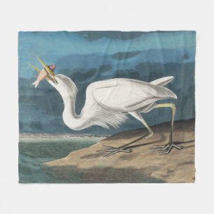 Cobertor De Velo Excelente White Heron Audubon Bird Willife Paintin
