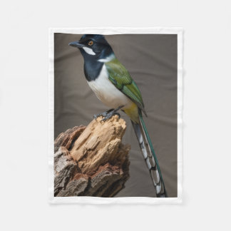 Cobertor De Velo Exotic Green Jay Bird Wildlife Fleece Baby Blanket