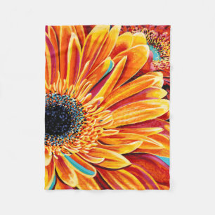 Cobertor De Velo Explosões de cor II