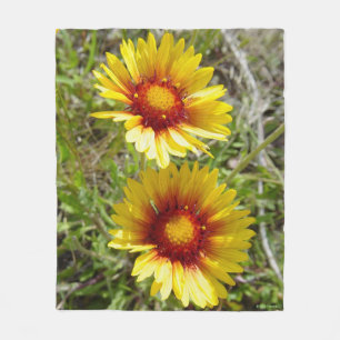 Cobertor De Velo F8 Amarelas Flores Silvestres Gaillardia