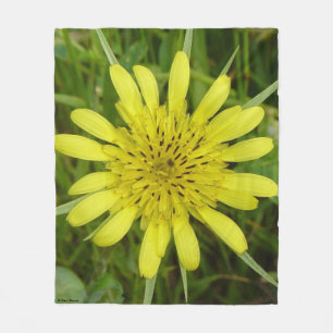 Cobertor De Velo F9 Flor Amarela Barba-de-Bode Tragopogon dubius
