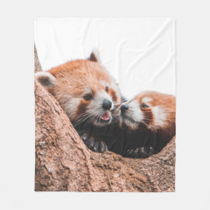 COBERTOR DE VELO FAMÍLIA DE URSOS CUTA KOALA