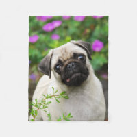 Filhote de cachorro bonito do pug da jovem corça