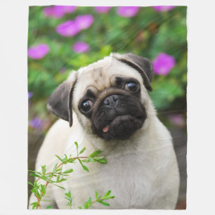 Cobertor De Velo Filhote de cachorro bonito do pug da jovem corça,