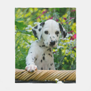 Cobertor De Velo Filhote de cachorro Dalmatian bonito do cão,