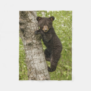 Cobertor De Velo Filhote de Urso Preto na Árvore