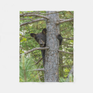 Cobertor De Velo Filhote de Urso Subindo Árvore