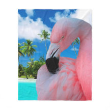 Flamingo e praia