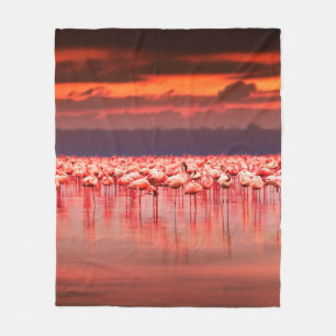 Cobertor De Velo flamingos africanos no lago sobre o belo sol
