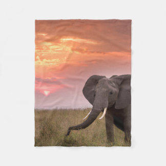 Cobertor De Velo Fleece Deken