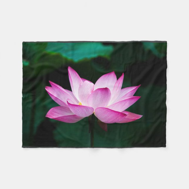 Cobertor De Velo Flor de Lotus Rosa (Frente (Horizontal))