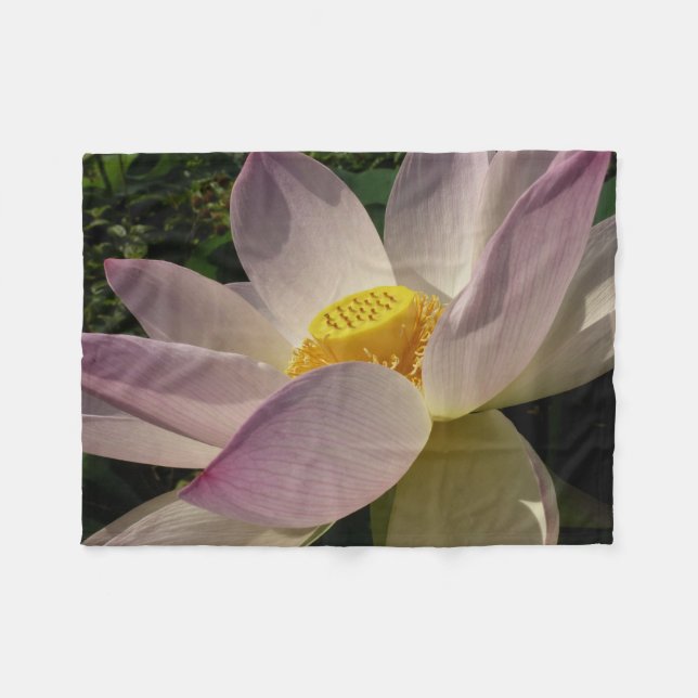 Cobertor De Velo Flor de Lotus Rosa III Verão Floral (Frente (Horizontal))