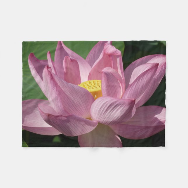 Cobertor De Velo Flor de Lotus Rosa IV (Frente (Horizontal))