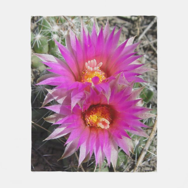 Cobertor De Velo Flores de Cactus Bola F5 "Escobaria vivipara" (Frente)