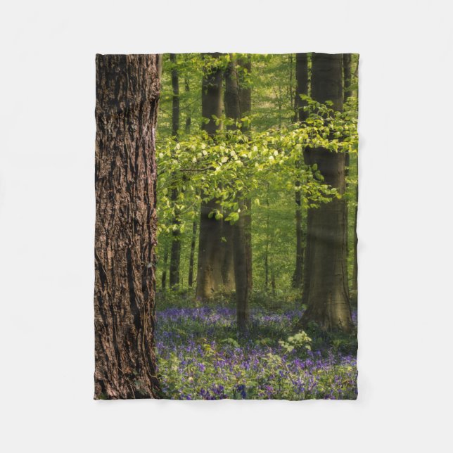 Cobertor De Velo Florestas | Bluebells na Bélgica (Frente)