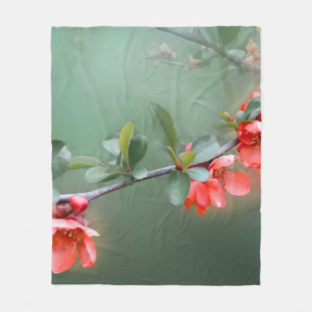Cobertor De Velo Flower flowers quince bush spring (Frente)