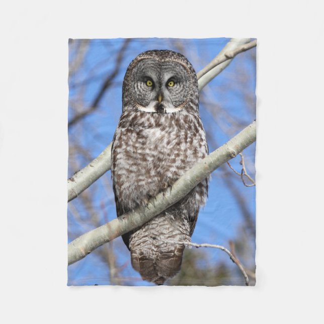 Cobertor De Velo Focado (Frente)