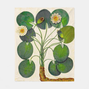 Cobertor De Velo Foguete de Vintage Botânico com Água