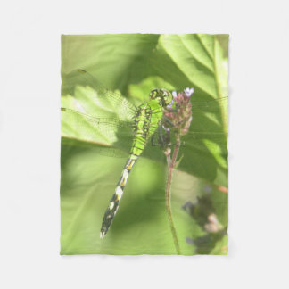 Cobertor De Velo Folheto de 30"x40" do folheto da foto original ITW