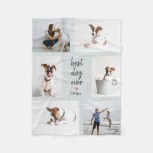 Folheto de Colagem de Fotos de Cor Editável por Tí